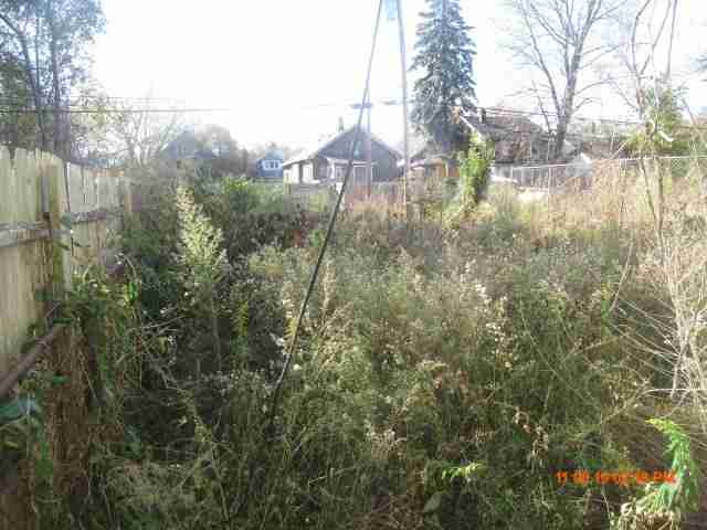 imgcontrols (28).jpeg